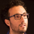 luca palmerini